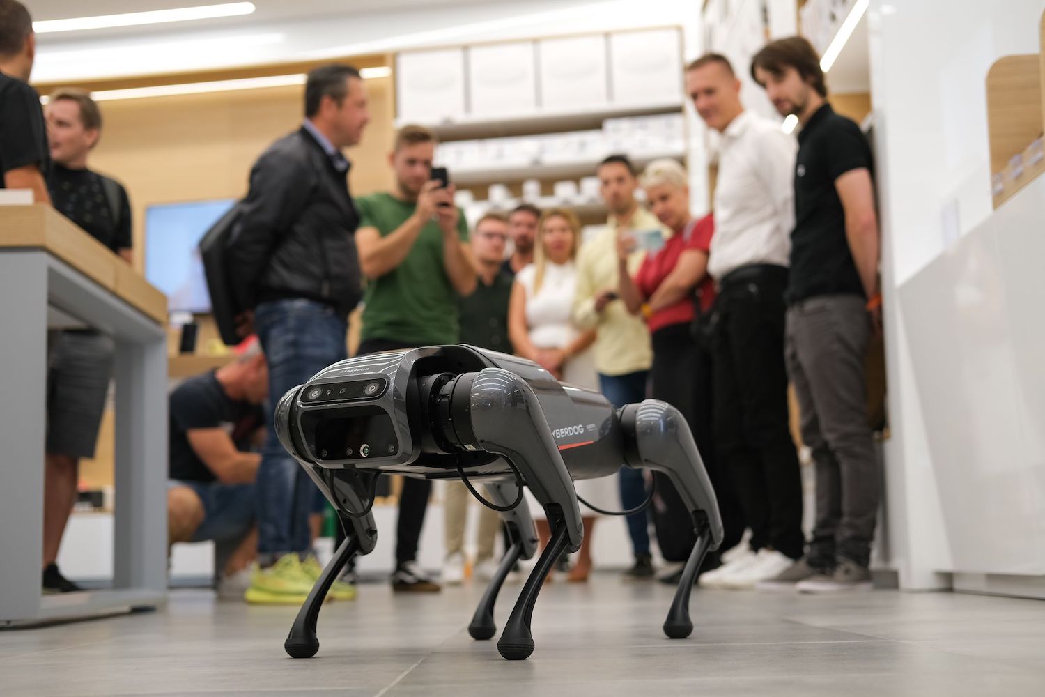 Cyberdog2