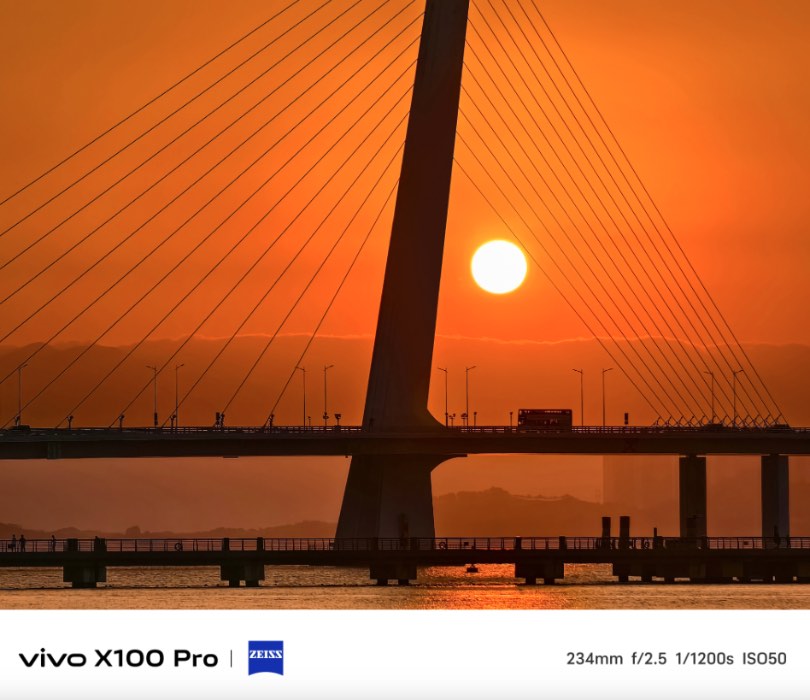 Vivo X100 Pro