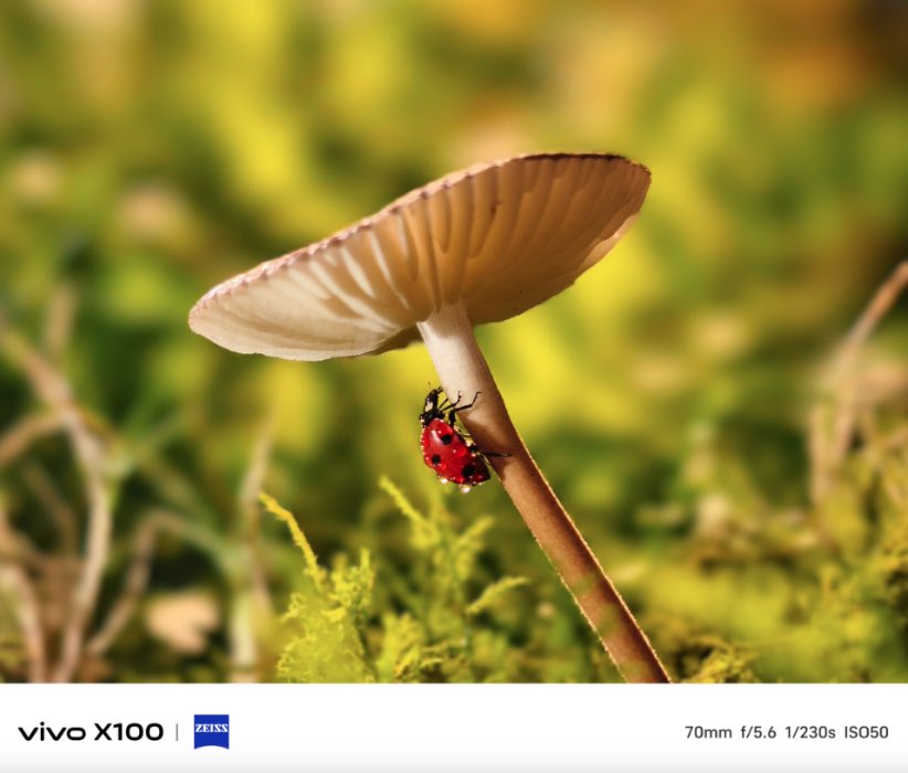 Vivo X100 Pro