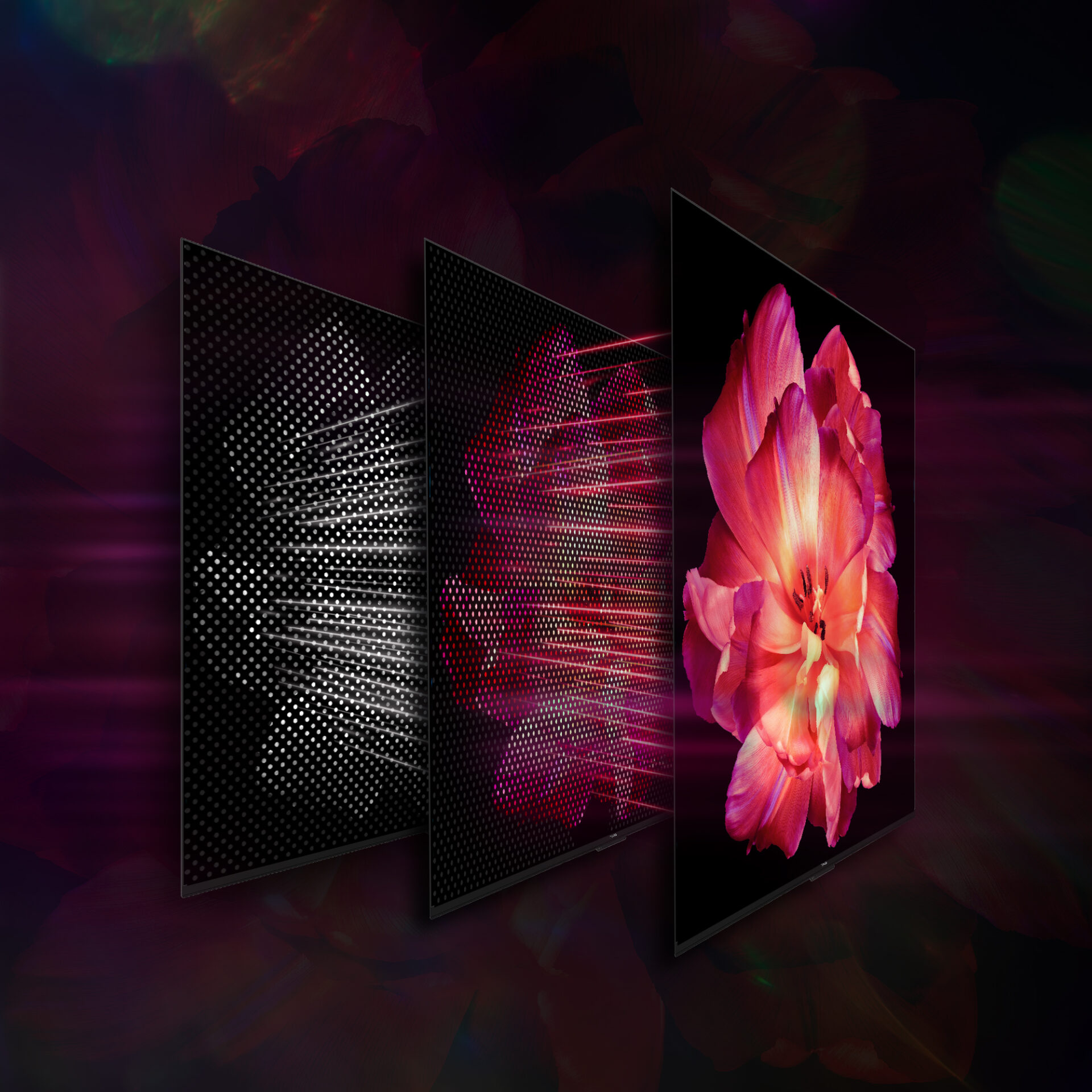 THOMSON 55MG7C15 MiniLED 3