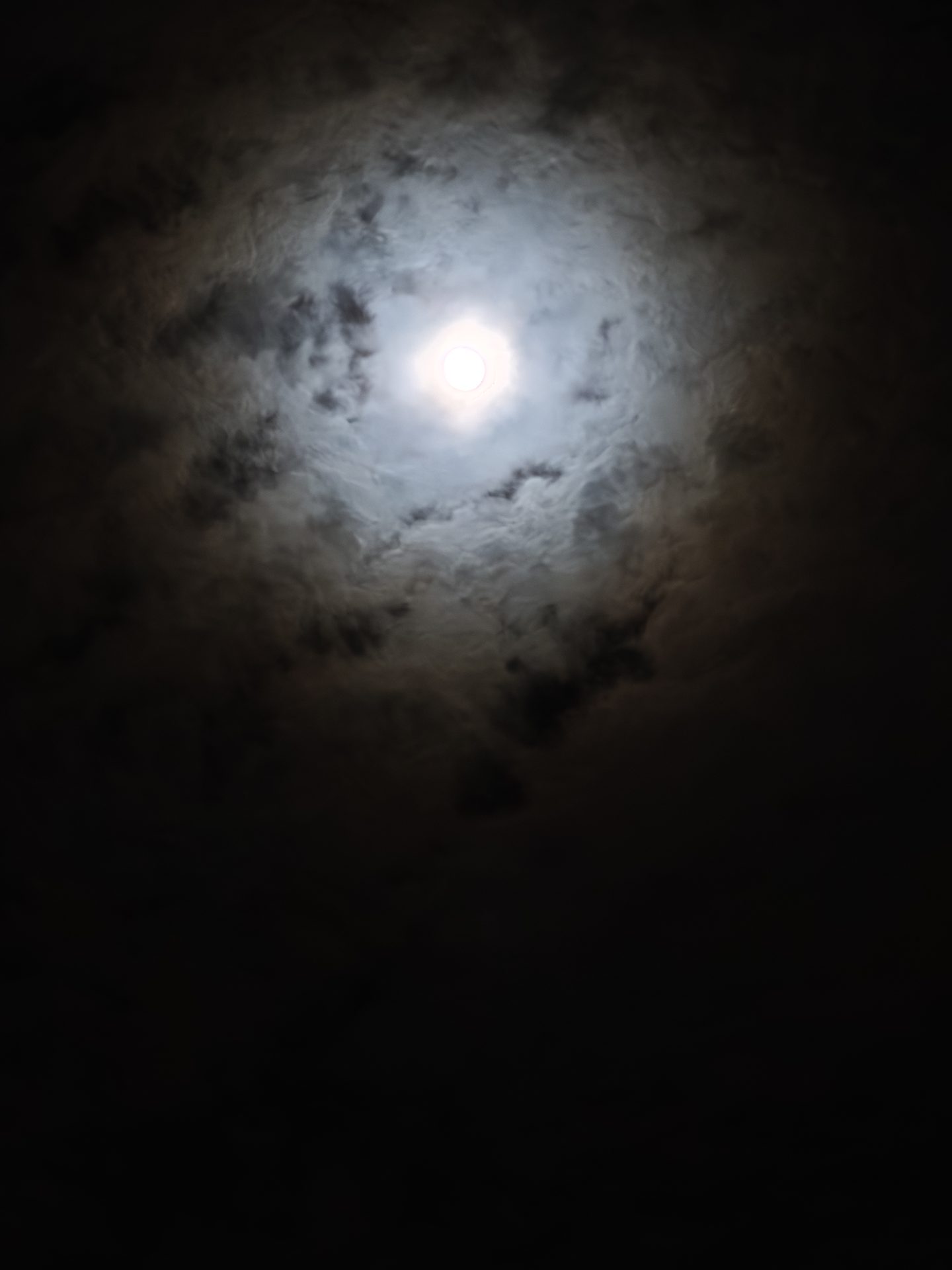 Xiaomi 17 Nočna Fotografija