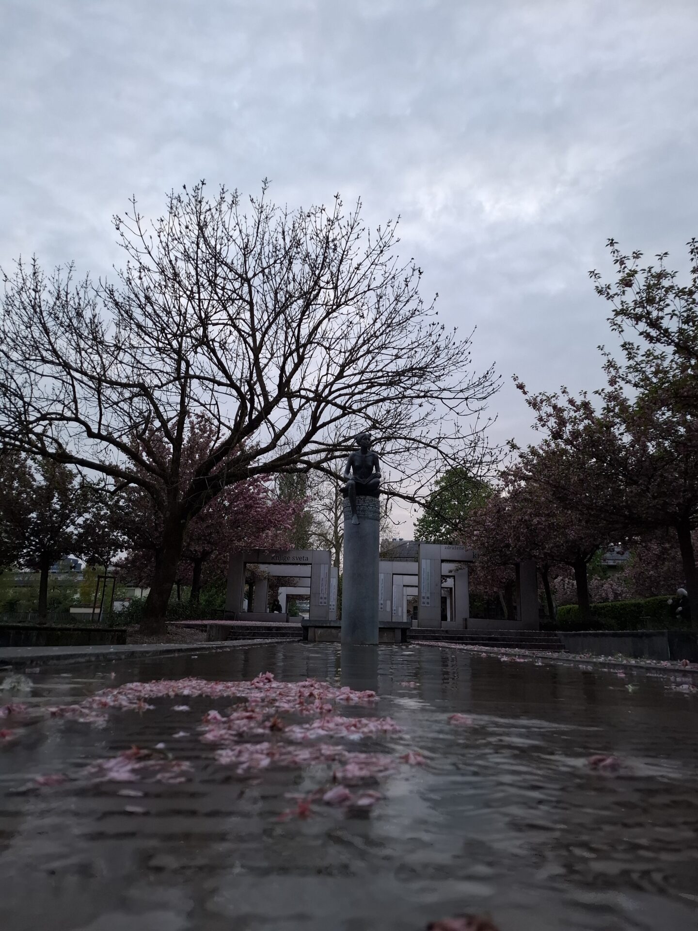 Samsung Galaxy A37 5G (Foto)